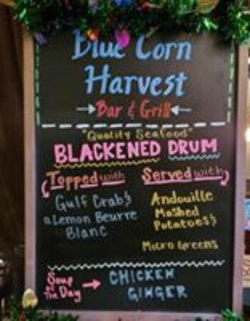 Blue Corn Harvest