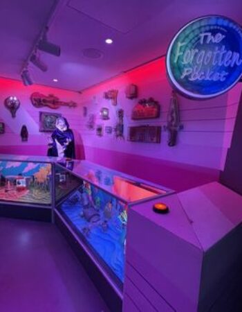 The Real Unreal – Meow Wolf