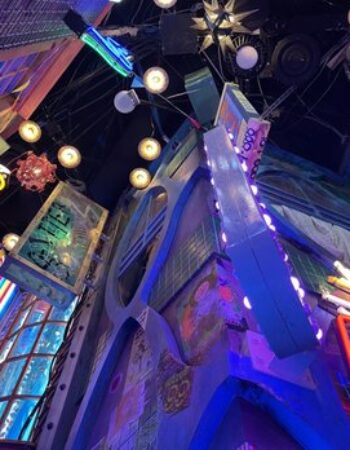 The Real Unreal – Meow Wolf