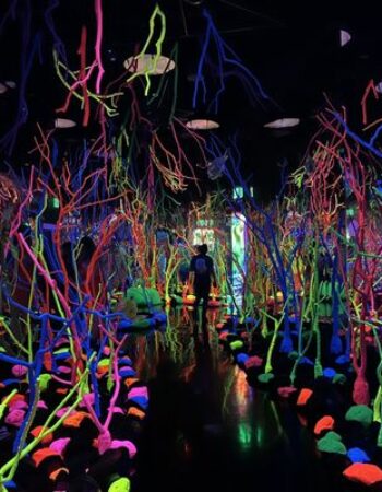 The Real Unreal – Meow Wolf