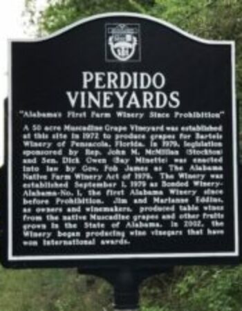 Perdido Vineyards