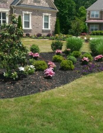 Tia’s Total Landscaping
