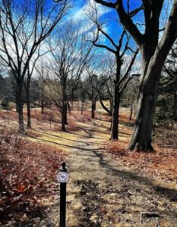 Middlesex Fells Reservation