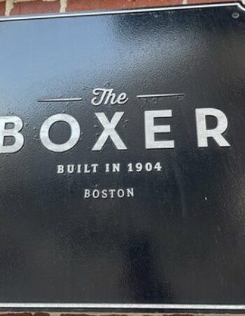 The Boxer Boston