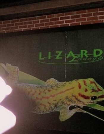 Lizard Lounge