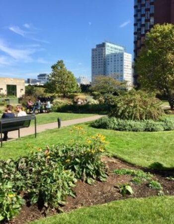 Cambridge Center Roof Garden