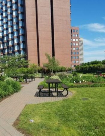 Cambridge Center Roof Garden