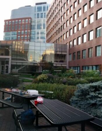 Cambridge Center Roof Garden