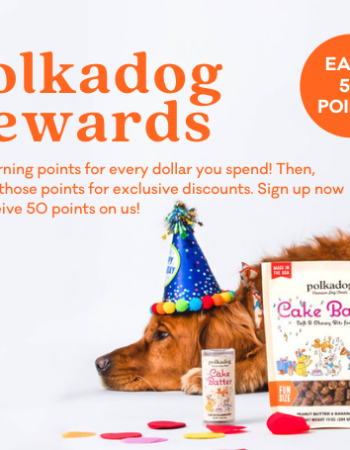 Polkadog Bakery – Seaport