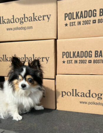 Polkadog Bakery – Seaport