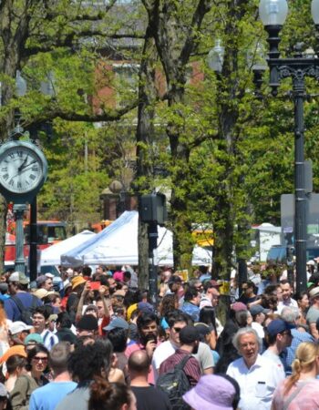 Harvard Square Chocolate Festival