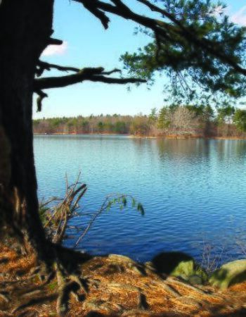 Middlesex Fells Reservation