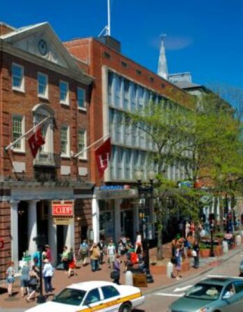 Harvard Square Chocolate Festival