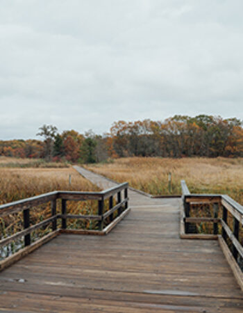 Cheesequake State Park