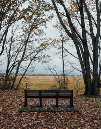 Cheesequake State Park