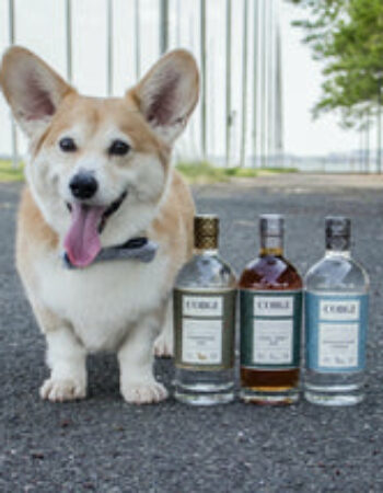 Corgi Spirits