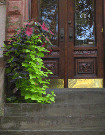 Park Slope Bed and Breakfast