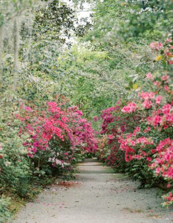 Magnolia Plantation & Gardens