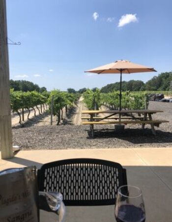 Plagido’s Winery