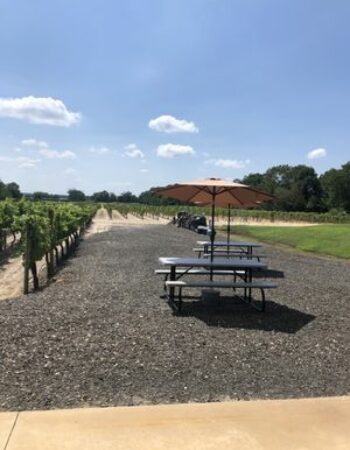 Plagido’s Winery