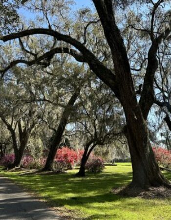 Magnolia Plantation & Gardens