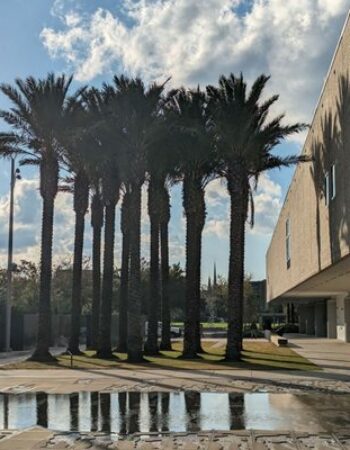 International African American Museum