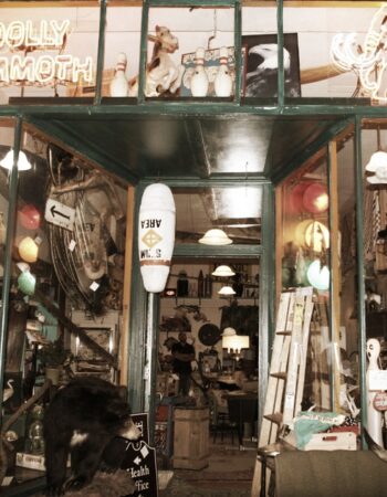 Woolly Mammoth Antiques, Oddities & Resale