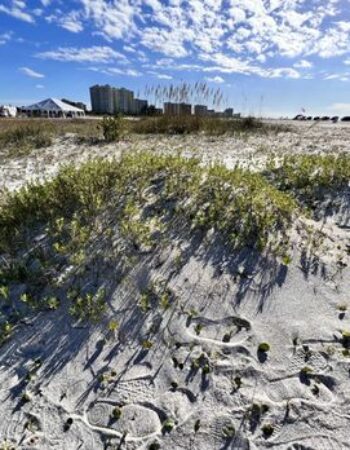 Sand Key Park